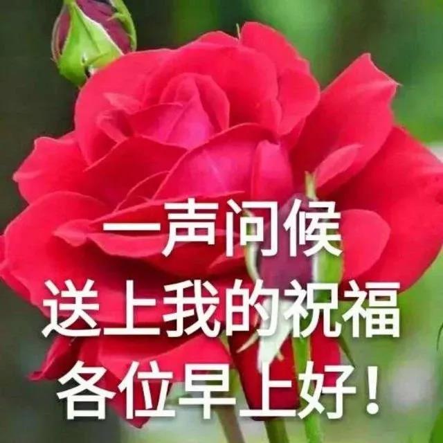 下载祝福表情包图片