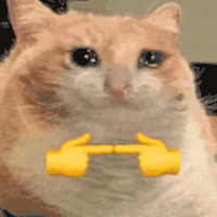 萌宠 猫咪 哭 呆萌 可爱