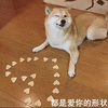 萌宠 汪星人 都是爱你的形状 爱你 呆萌 可爱