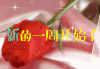 周一早 周一早安 周一愉快 周一早上好 周一快乐 周一好 祝福