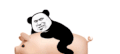 熊猫头 沙雕 骑小动物 搞笑