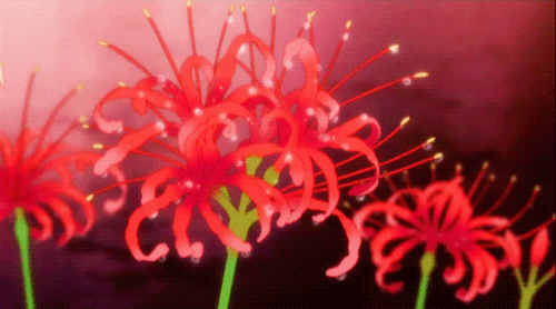 花朵旋转特效动态图图片