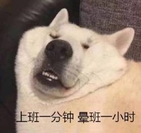 萌宠 汪星人 上班一分钟 晕班一小时 搞怪 逗