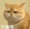 萌宠 猫咪 不嘻嘻 呆萌 可爱