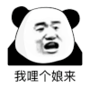 暴漫 熊猫头 我哩个娘来 搞怪 逗