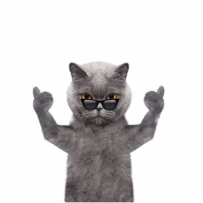 【抖音蓝猫】gif动态图片 抖音蓝猫动图表情包下载 soogif动图