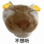 萌寵 貓咪 不想聽 呆萌 可愛