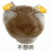 萌宠 猫咪 不想听 呆萌 可爱