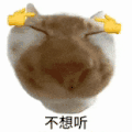 萌宠 猫咪 不想听 呆萌 可爱