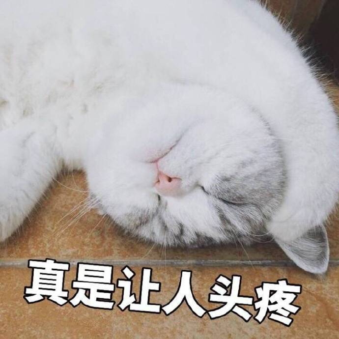 猫咪表情难受图片