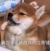 萌宠 汪星人 请你不要挑战我的拉黑键 生气 呆萌 可爱