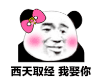 暴漫 熊猫头 西天取经 我娶你 搞怪 逗