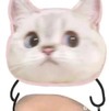 猫咪 可爱 大肚子猫咪 日常