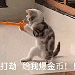 萌宠 猫咪 打劫 给我爆金币 呆萌 可爱
