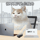 萌宠 猫咪 很不高兴为您服务 呆萌 可爱