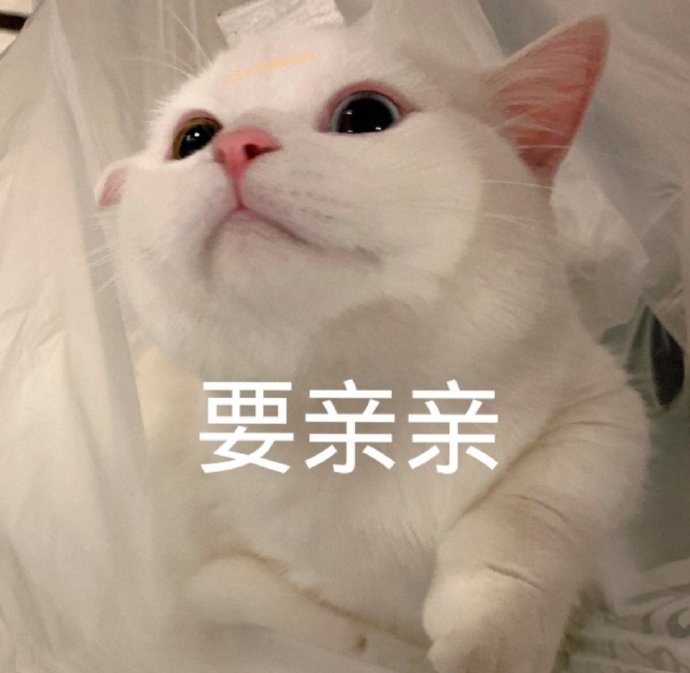 萌宠gif猫星人gif要亲亲gif开心gif搞怪gif呆萌gif