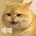 萌寵 貓咪 嘻嘻 呆萌 可愛