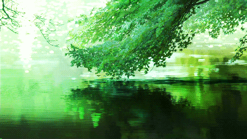 河树枝倒影美景gif动图