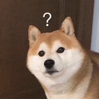 萌宠 狗狗 ？ 呆萌 可爱