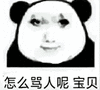 暴漫 熊猫头 怎么骂人呢宝贝 搞怪 逗