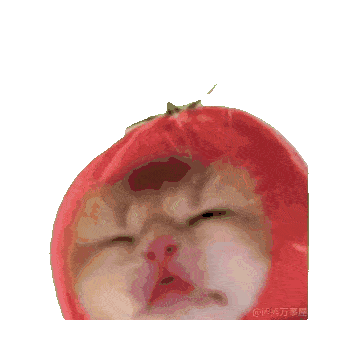 猫meme 猫猫 抽象 搞怪