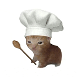 萌宠 猫咪 做饭 呆萌 可爱