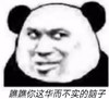 暴漫 熊猫头 瞧瞧你这华而不实的脑子 生气 搞怪 逗
