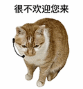 萌宠 猫咪 很不欢迎您来 呆萌 可爱