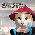 萌宠 猫咪 微臣愚钝 呆萌 可爱