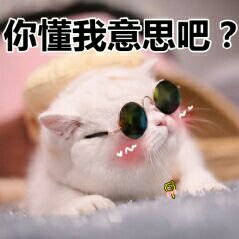 你明白我的意思在线播放