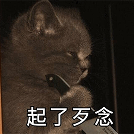 萌宠gif猫咪gif猫gif喵星人gif猫咪拿刀gif起了歹念gif斗图gif