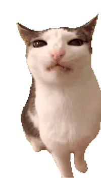 萌宠 猫咪 吃 呆萌 可爱