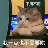 萌宠 猫咪 我一点也不需要哄 不用不用 呆萌 可爱