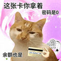 萌宠 猫咪 这张卡你拿着密码是0余额也是 呆萌 可爱