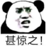 暴漫 文字表情包 甚惊之 搞笑 逗 沙雕