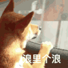 浪里个浪 沙雕 搞笑 逗