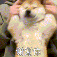 萌宠 狗狗 谢谢你 呆萌 可爱
