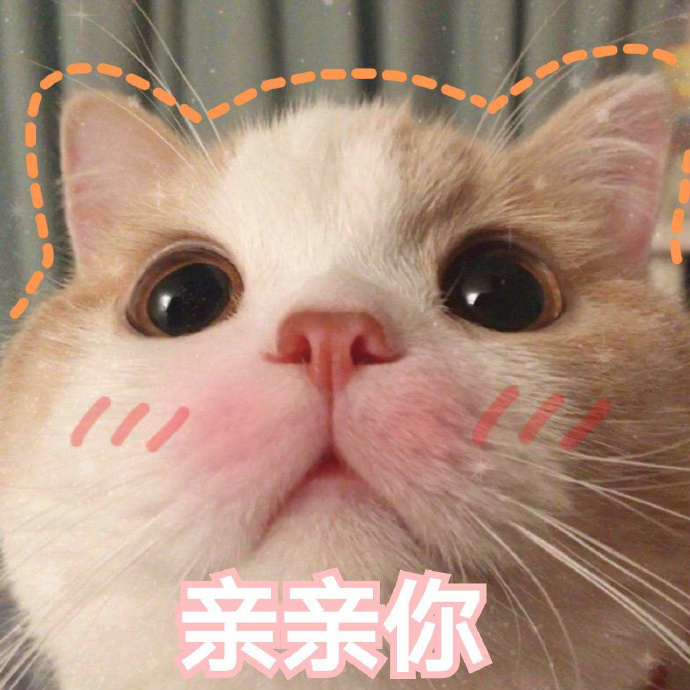 萌宠gif猫星人gif亲亲你gif害羞gif呆萌gif可爱gif