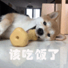 可爱 沙雕 该吃饭了 搞笑 日常