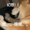 萌宠 狗狗 幻想嘿嘿嘿 呆萌 可爱