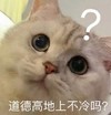 萌宠 猫星人 道德高地上不冷吗 好奇 呆萌 可爱