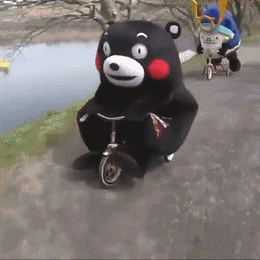 熊本熊可爱搞笑逗比gif动图