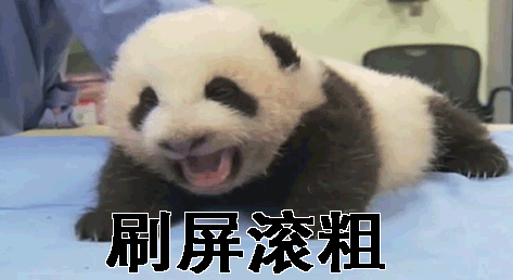 熊猫张嘴刷屏滚粗gif动图_动态图_表情包下载_soogif