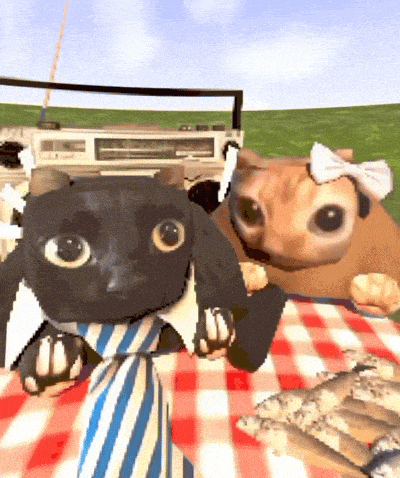 阿米嘎蒂朵 猫咪 喵喵 可爱 搞怪