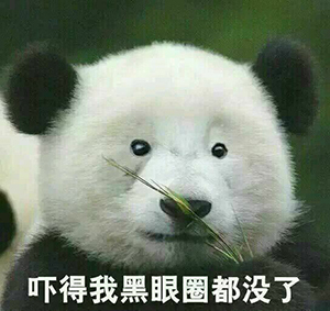 熊猫头目瞪口呆表情包图片