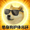 萌宠 狗狗 单身狗护体光环 呆萌 可爱