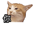 沙雕 搞笑 全部炫我嘴里 吃货猫猫