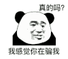 暴漫 熊猫头 我感觉你在骗我 真的吗 搞怪 逗