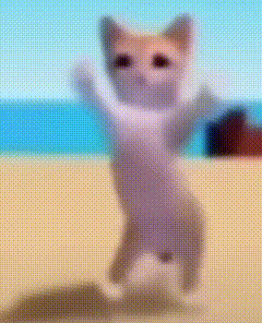 阿米嘎蒂朵 猫咪 喵喵 可爱 搞怪