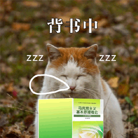 背书gifzzzgif